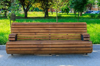 Ağaçları ve patikası olan güneşli yeşil parktaki ahşap park bankında..