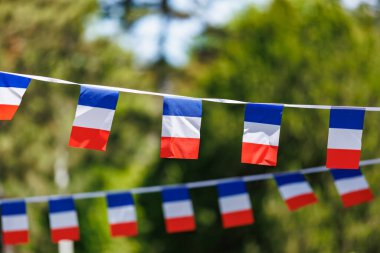 Açık havada Fransız bayrakları: doğal ortamda canlı kırmızı, beyaz ve mavi bayraklar.