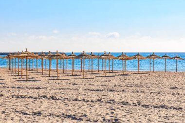 Okyanus kıyısındaki kumlu sahilde saman şemsiyeli güneşli sahneler..