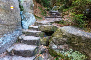 Yosun ve yemyeşil yemyeşil ormanlı kayalık araziye taş basar..