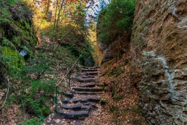 Kırsal kayalar, sonbahar yapraklarıyla dolu ormanlık vadiden geçer..