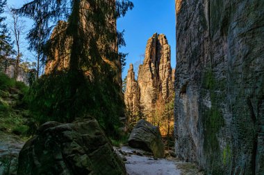 Mavi gökyüzünün altında yüksek uçurumları ve sık çam ormanları olan görkemli kayalık bir yer..