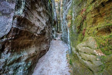 Yosunlu orman kanyonunda dar kumtaşı yolu.