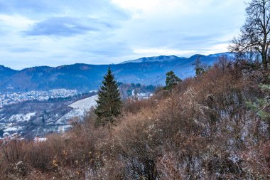 Önünde birkaç ağaç olan karlı bir dağ sırası. Gökyüzü bulutlu ve dağlar karla kaplı.