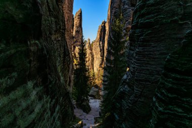 Heybetli kumtaşı kayalıkları ve yüksek çam ağaçları olan dar kanyon..