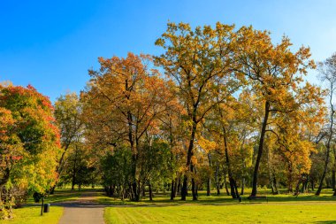 Sonbahar renklerinde ağaçların olduğu bir park. Ağaçlar uzun ve yapraklı, ve gökyüzü açık ve mavi. Park dinlenmek ve doğanın güzelliğinin tadını çıkarmak için huzurlu bir yerdir.
