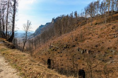 Sonbahar ağaçları ve açık mavi gökyüzü ile manzaralı dağ manzarası.