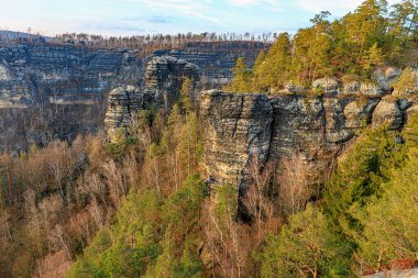 Görkemli kumtaşı kayalıkları ve bereketli orman manzaralı kanyon manzarası..