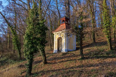 Yapraksız ormanın ve sonbaharda tırmanan sarmaşıkların arasında büyüleyici sarı şapel..