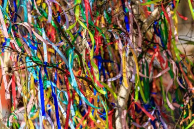 Açık havada bir ağaç dalını süsleyen renkli kurdeleler..