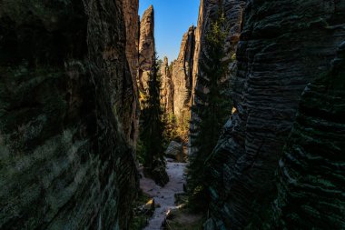 Görkemli kumtaşı kayalıkları ve adrspach tepecikleri ormanında dar bir vadi..