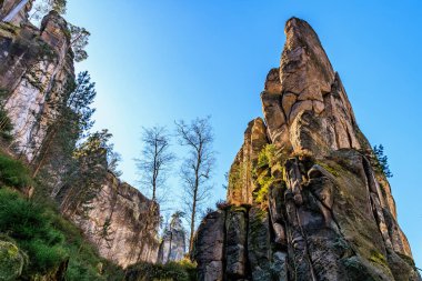 Görkemli kayalıklar ve yükselen çam ağaçları berrak mavi gökyüzüne karşı.