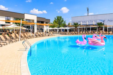 Pembe flamingolu ve şemsiyeli bir havuz. Havuz sandalyeler ve şemsiyelerle çevrilidir. 8 Haziran 2024 Balti Moldova