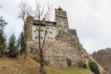 Önünde ağaç olan bir kale. 16 Aralık 2024 Bran Romanya.