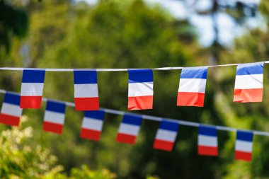 Doğal arka planda Fransız bayrakları.