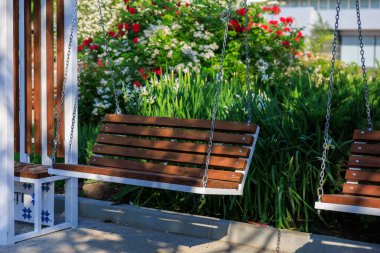 Güneşli bir günde canlı çiçek bahçesinde ahşap salıncak koltuğu.
