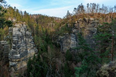 Sakson İsviçre Ulusal Parkı 'ndaki görkemli kayalık kayalıklar ve yemyeşil orman.