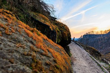 Güneşin batışı kayalık patikada, yosunlar manzaralı kanyonda..