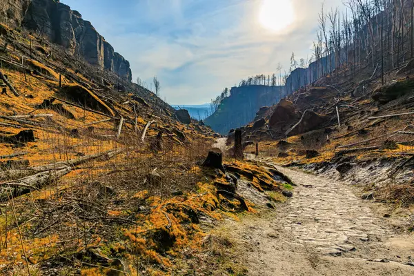 Dağlık vadi boyunca uzanan engebeli yolu olan güneşli kayalık bir arazi..