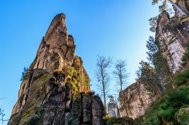 Mavi gökyüzünün altındaki görkemli kumtaşı kayalıkları manzaralı orman manzarasında.