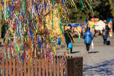 Colorful ribbons decorate tree in vibrant urban park setting.