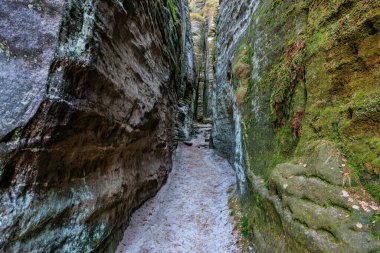 Narrow rocky canyon pathway with moss-covered walls in forest.