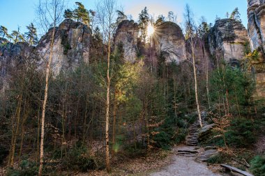 Sunlit rocky forest path in autumnal mountain landscape.
