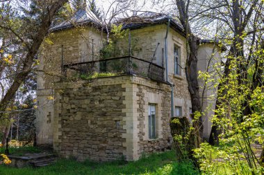 Yapraklı ağaçlar ve balkonları olan yemyeşil taştan bir ev..