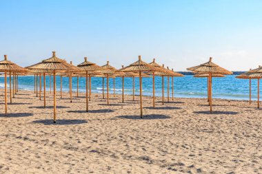 Sunny beach with straw parasols and calming ocean waves in relaxing coastal setting.