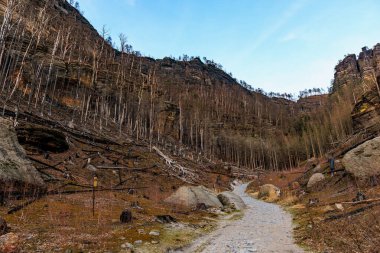 Dağlık arazide çıplak ağaçlarla ormandaki vadi boyunca Rocky izleri var..