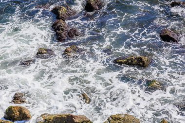 Dalgalar köpüklü deniz suyu ve alglerle kaplı kayalıklara çarpıyor..
