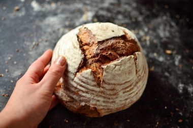 Bakery products. Crispy, beautiful bread on a dark background. Top view, place for text.