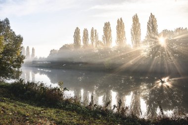 Güneş ışığında muhteşem sisli bir nehir. Güneş ağaçların arasından ışıldıyor. Dramatik manzara. Hradec Kralove, Çek Cumhuriyeti, Avrupa. Güzellik dünyası.