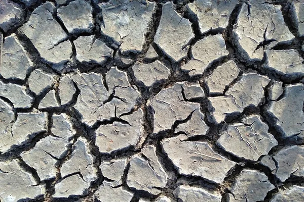clay soil that has cracked due to drought