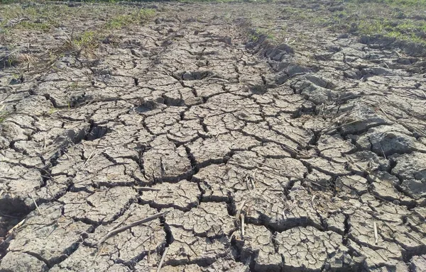 Ground is dry and cracked by global warming.