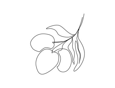 Continuous one line drawing of olives with leaves. Olives line art drawing vector illustration. 