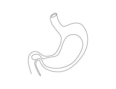 Continuous one line drawing of Stomach organ. Human Gastrointestinal line art drawing vector illustration. 
