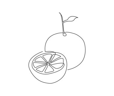 Continuous one line drawing of Orange Fruit. Orange fruit hand drawn single line art vector illustration.