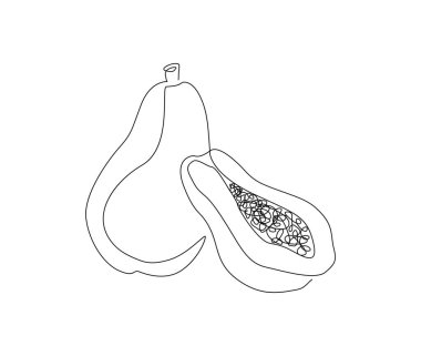 Continuous line art drawing of exotic papaya fruit. fresh papaya tropical fruit single line art drawing vector illustration.