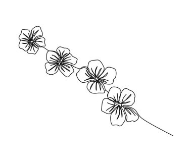 Continuous one line drawing of cherry blossom. Simple flower blossom line art vector illustration.