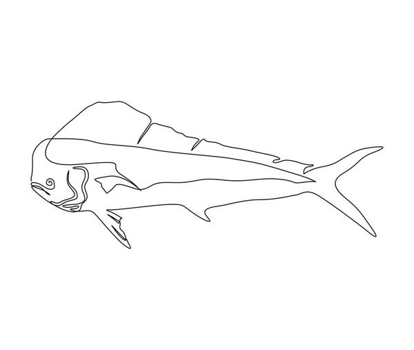 Nepřetržitá Kresba Dorádových Ryb Jednoduché Oceánské Ryby Obrys Vektorové Ilustrace — Stockový vektor