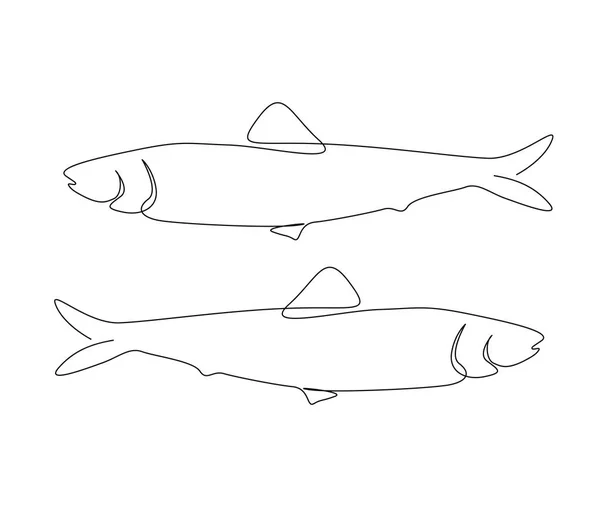 Desenho Contínuo Uma Linha Peixe Sardinha Simples Oceano Peixe Contorno —  Vetores de Stock