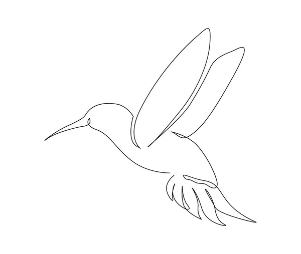 Sürekli Bir Çizgi Halinde Collibri Çizimi Uğultulu Kuş Soyut Uçan — Stok Vektör