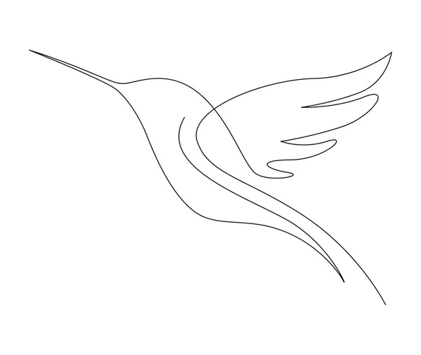 Sürekli Bir Çizgi Halinde Collibri Çizimi Uğultulu Kuş Soyut Uçan — Stok Vektör