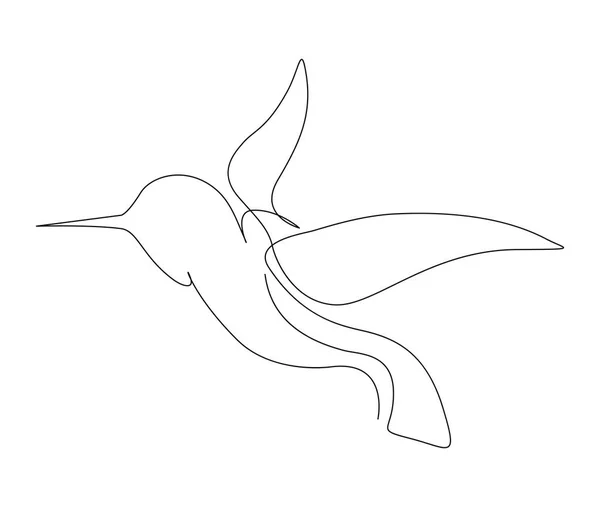 Ciągły Rysunek Kolibri Kołyszący Ptak Streszczenie Latający Ptak Zarys Ilustracji — Wektor stockowy