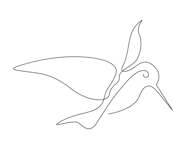 Continuous One Line Drawing Collibri Simple Humming Bird Outline Vector — Stock Vector