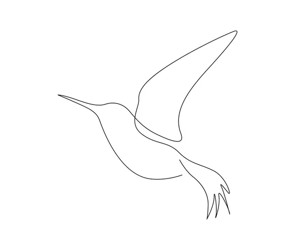 Dibujo Continuo Una Línea Collibri Pájaro Tarareando Abstracto Pájaro Volador — Archivo Imágenes Vectoriales