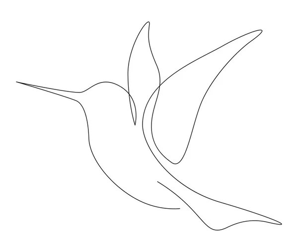 Nepřetržitá Jednořádková Kresba Kollibri Kolibřík Abstraktní Vektorová Ilustrace Letícího Ptáka — Stockový vektor