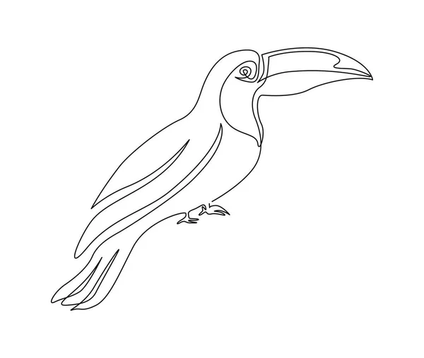 Ununterbrochene Linienzeichnung Des Tukanvogels Einfache Tukan Umrissvektorillustration — Stockvektor
