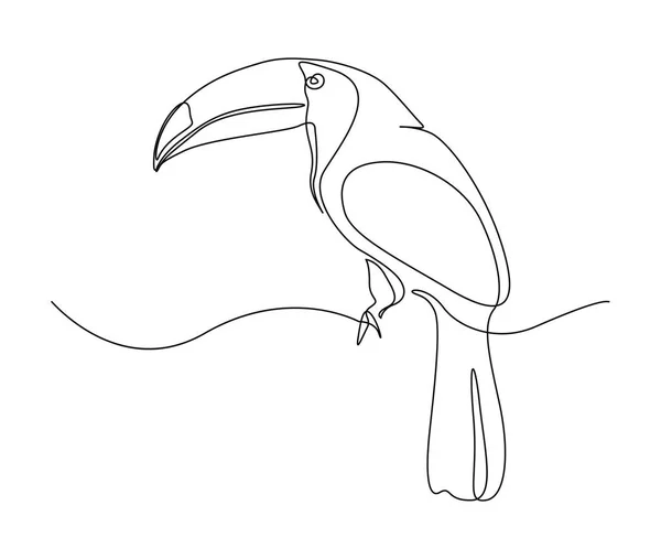 Desenho Contínuo Uma Linha Pássaro Tucano Ilustração Vetor Contorno Tucano — Vetor de Stock